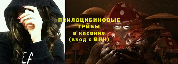 индика Наволоки