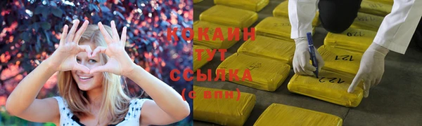 молекула духа Навашино