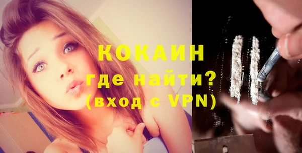 индика Надым