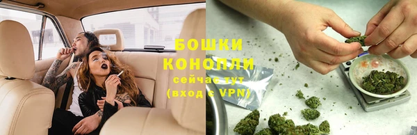 индика Наволоки