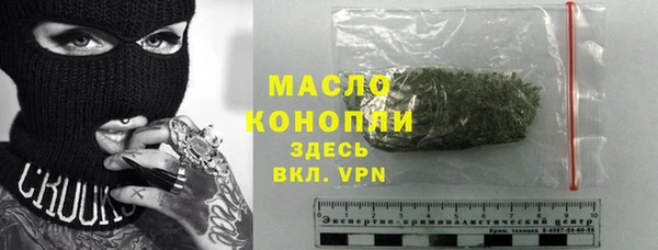 индика Надым