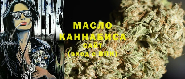 индика Наволоки