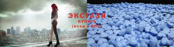 индика Надым