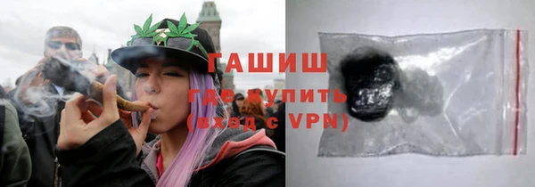 индика Надым