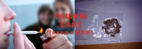 индика Надым