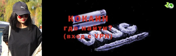 индика Надым
