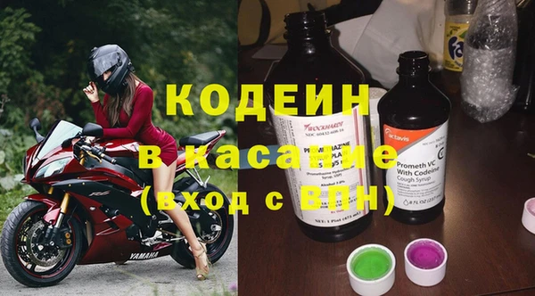 индика Надым