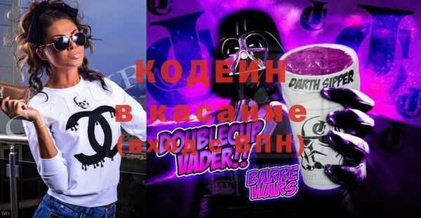 индика Надым