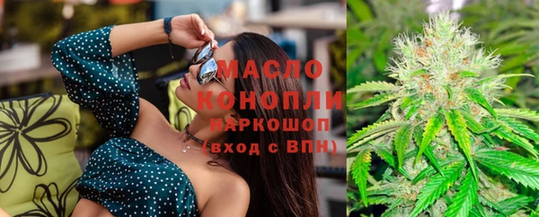 индика Надым