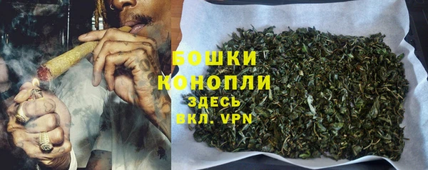 молекула духа Навашино