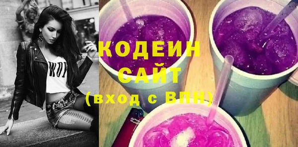 индика Надым