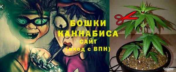 молекула духа Навашино