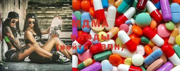 индика Надым
