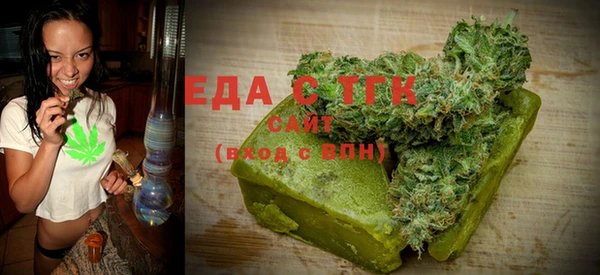 индика Надым