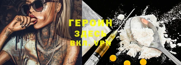 индика Надым