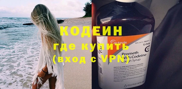 индика Надым