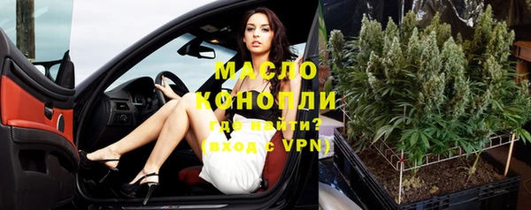 индика Наволоки