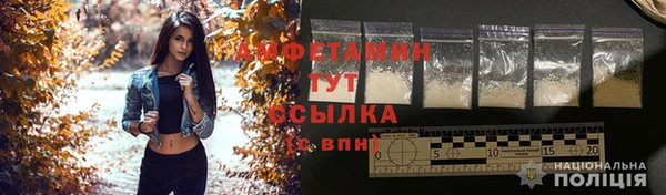 индика Наволоки