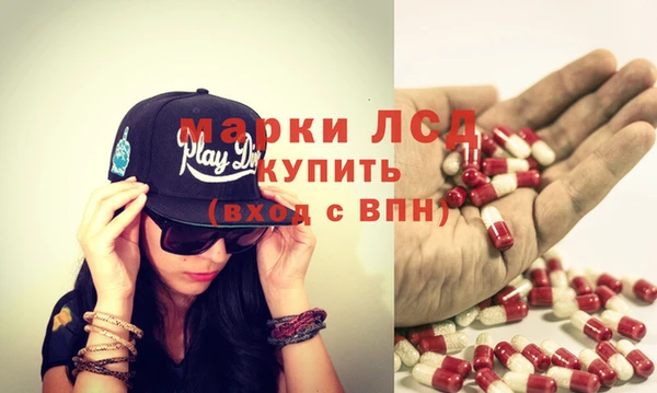индика Надым