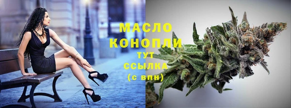 индика Надым
